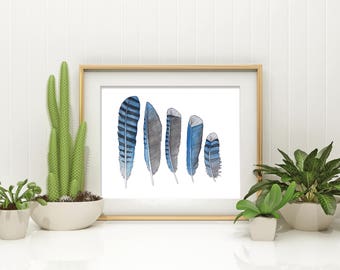 Watercolor Feather Study Print, Bluejays Feathers, Nature Wall Art, Black and Blue Feather, Giclee Print, Bohemian Decor, Botanical Print