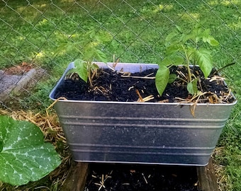 Large galvanized washtub planter, galvanized tub, metal tub, metal planter, garden planter, large planter tub, over sized galvanized planter