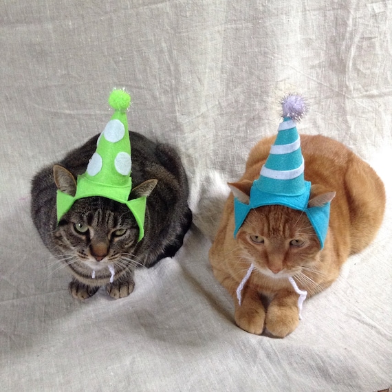 Birthday Party Hat For Cats ANY COLOR