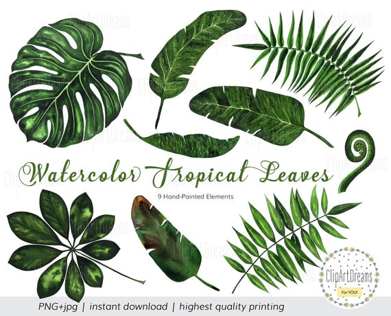 Tropical Leaf Clipart Tropical Leaves Watercolor Clipart