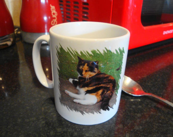 Personalised "All you need is LOVE ... and your Cat Mug
