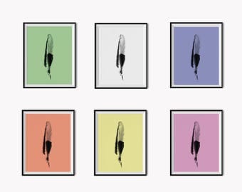 New Feather series! 6 Art prints for the price of 3
