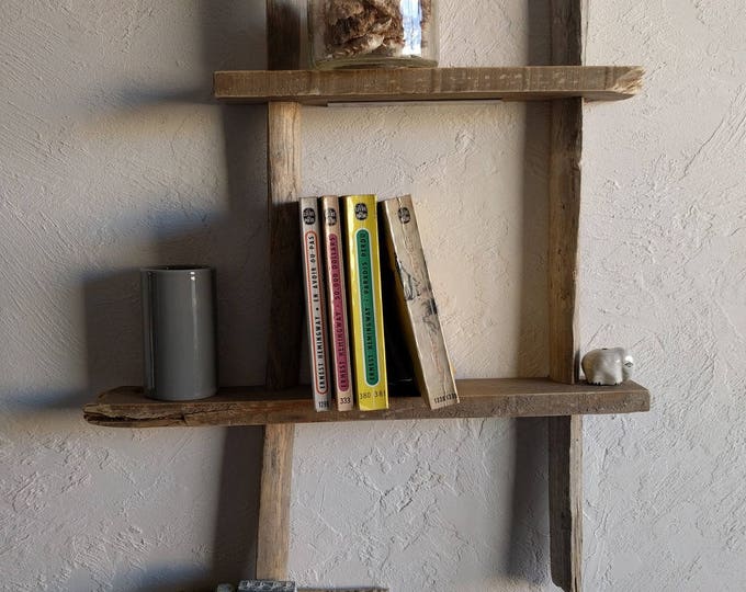 Driftwood shelf