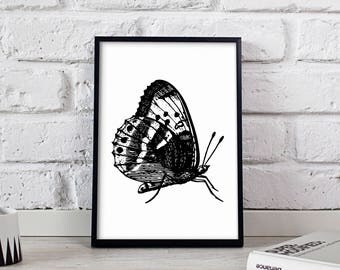 Butterfly poster, Butterfly wall art, Butterfly wall decor, Butterfly print