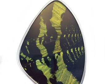 XXL Green Banded Urania Leilus Butterfly - Moth - Wing Pendant