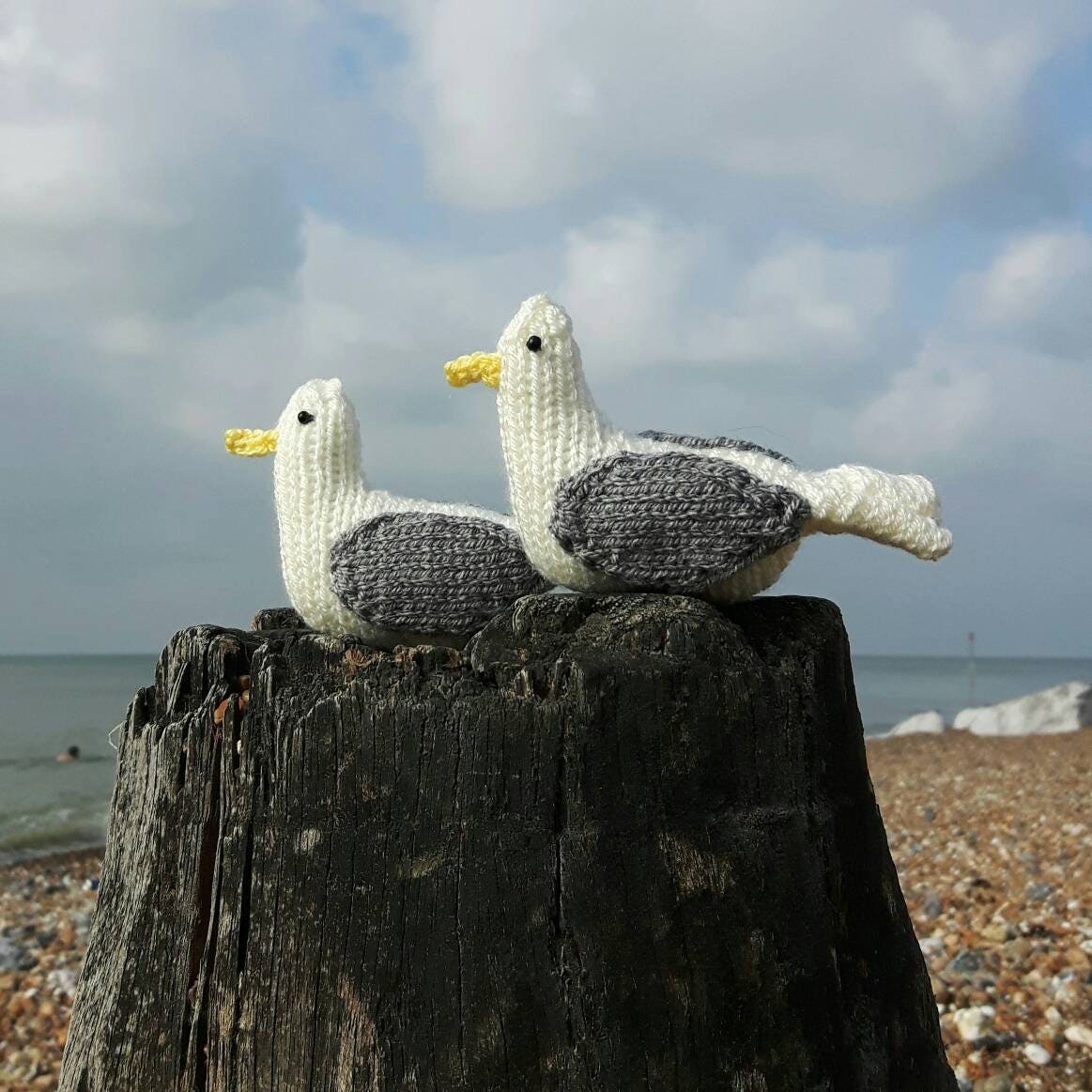 Jeff the seagull knitting pattern small Herring Gull
