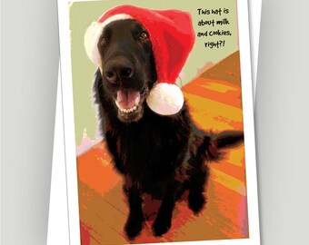 Funny Cockapoo Card. Card For A Tennis Player. Furry Balls Funny - View #4