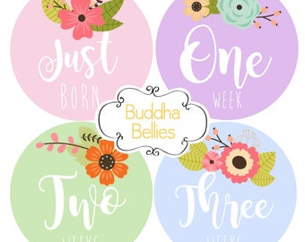 FREE NEWBORN SET Baby Girl Month Stickers Monthly Baby Stickers Milestone Baby Month Stickers Baby Girl Vintage Floral Baby Shower Gift