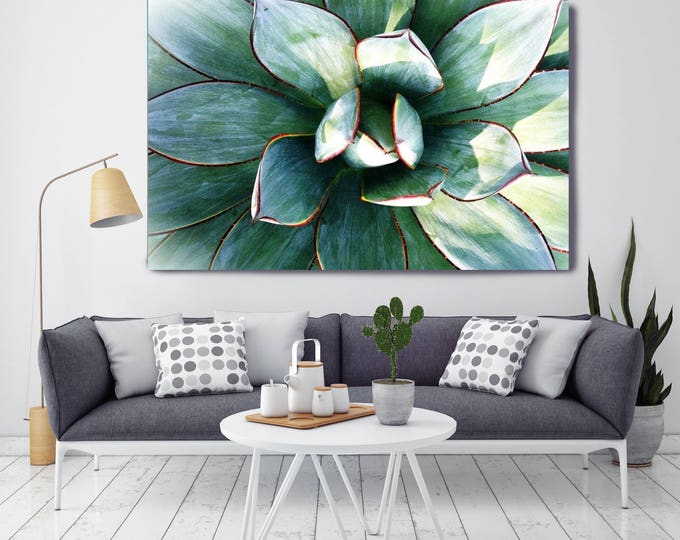 Delicate Succulent. Extra Large Green Succulent Canvas Art Print up to 72" by Irena Orlov