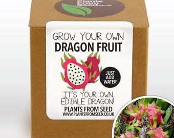 SALE NOW ON!!! - Grow Your Own Dragon Fruit Plant Kit