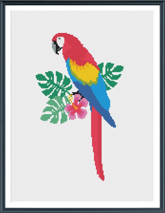 Parrot Cross Stitch Pattern instant digital pdf download