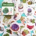 Succulent Stickers - Kawaii Sticker Box - 40 Pieces - Green Purple Potted Plant - Scrapbook Journal