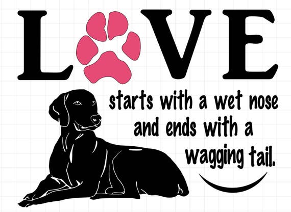 WEIMARANER wall decal | Love begins with a wet nose and ends with a wagging tail | Free Shipping