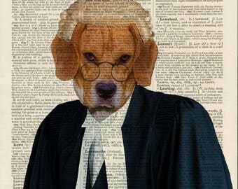 barrister