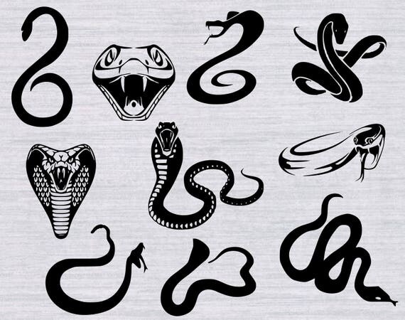Snake SVG Bundle rattlesnake svg cobra svg desert svg