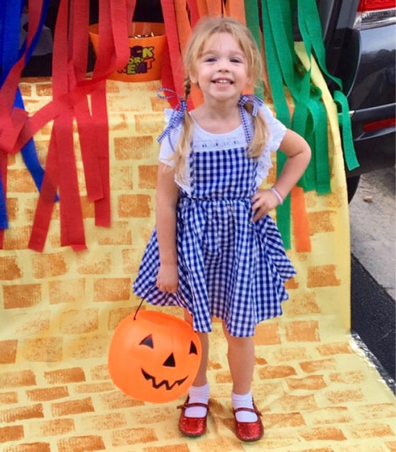 Blue Gingham Dorothy Dress Costume