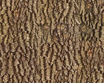 Wood Bark Texture Digital Image for Crafts