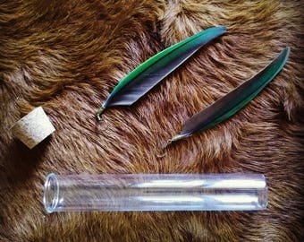 Wild Medium Parakeet Feathers Earrings (Pair)