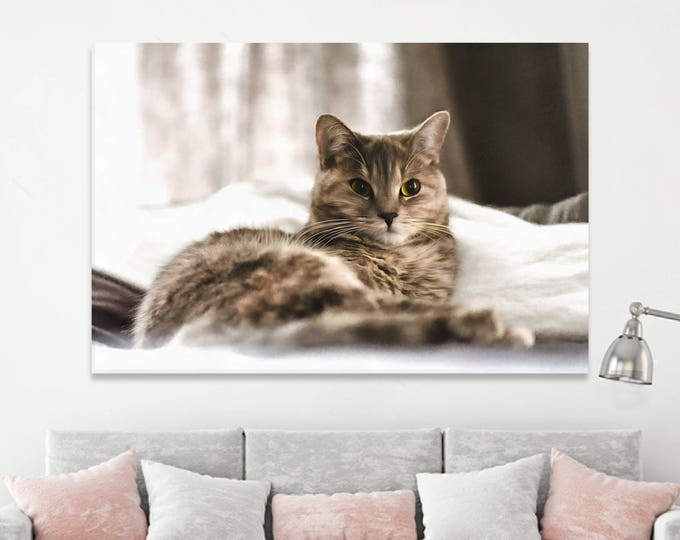 Unique Cat, Сute cat canvas, Pet, Art cat, canvas, Interior decor, room design, print poster, art picture, gift