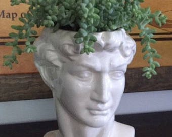 Planter, house plant, head pot, head planter, head, drain hole, statue of David, Michelangelo, bust, white, garden decor, unique