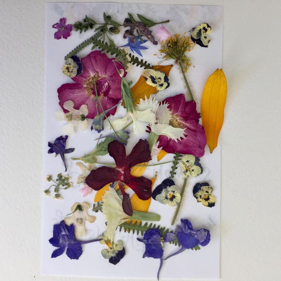 decoupage real flowers Dried Petals Flowers, and Flowers 200 Pressed Leaves,