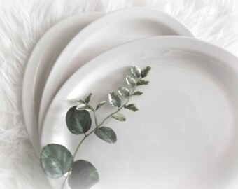 Vintage Ironstone Platters Set of Three Buffalo China Restaurant Ware