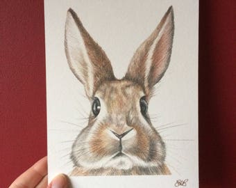 Rabbit print | Etsy