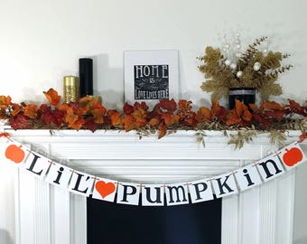 Little Pumpkin Banner Little Pumpkin Baby Shower Decor