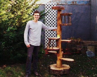 Custom Cat Trees - Artistic Cat Furniture - Cat Towers - Designs Done Completely At Your Request!