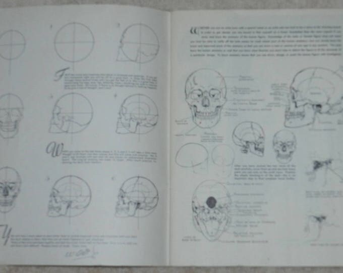 Anatomy by Walter T Foster 1960's