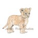 Animal Nursery Art Baby Animal Nursery Prints Animal Paintings