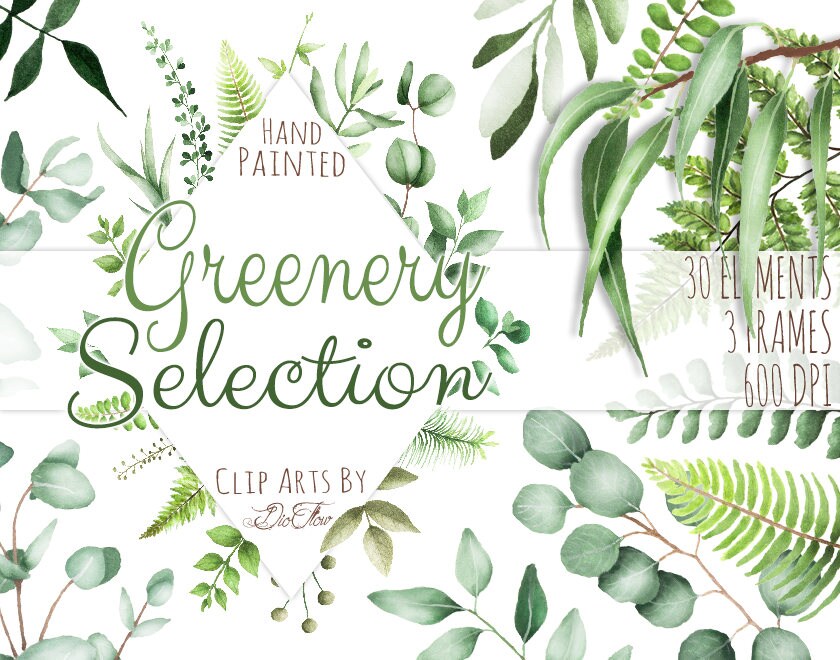 Download Watercolor Greenery Clipart Leaf Clipart Eucalyptus Woodland