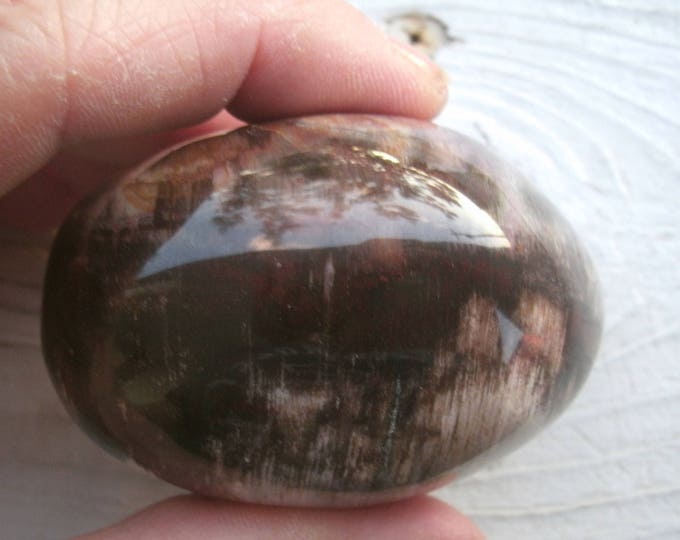 Palm Stone of Petrified Wood, 193g, 6.8 oz, gorgeous graining, salicified, agate replaced, fossil wood, gift for him or her, metaphysical