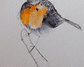robin watercolor, robin painting, oroginal robin, robin bird, original robin watercolor, original robin art, robin art, robin, robins