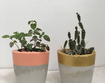 CONCRETE PLANTER - medium / dipped / pastel / metallic / planter / plant pot / plant holder / minimalist / concrete decor / home decor