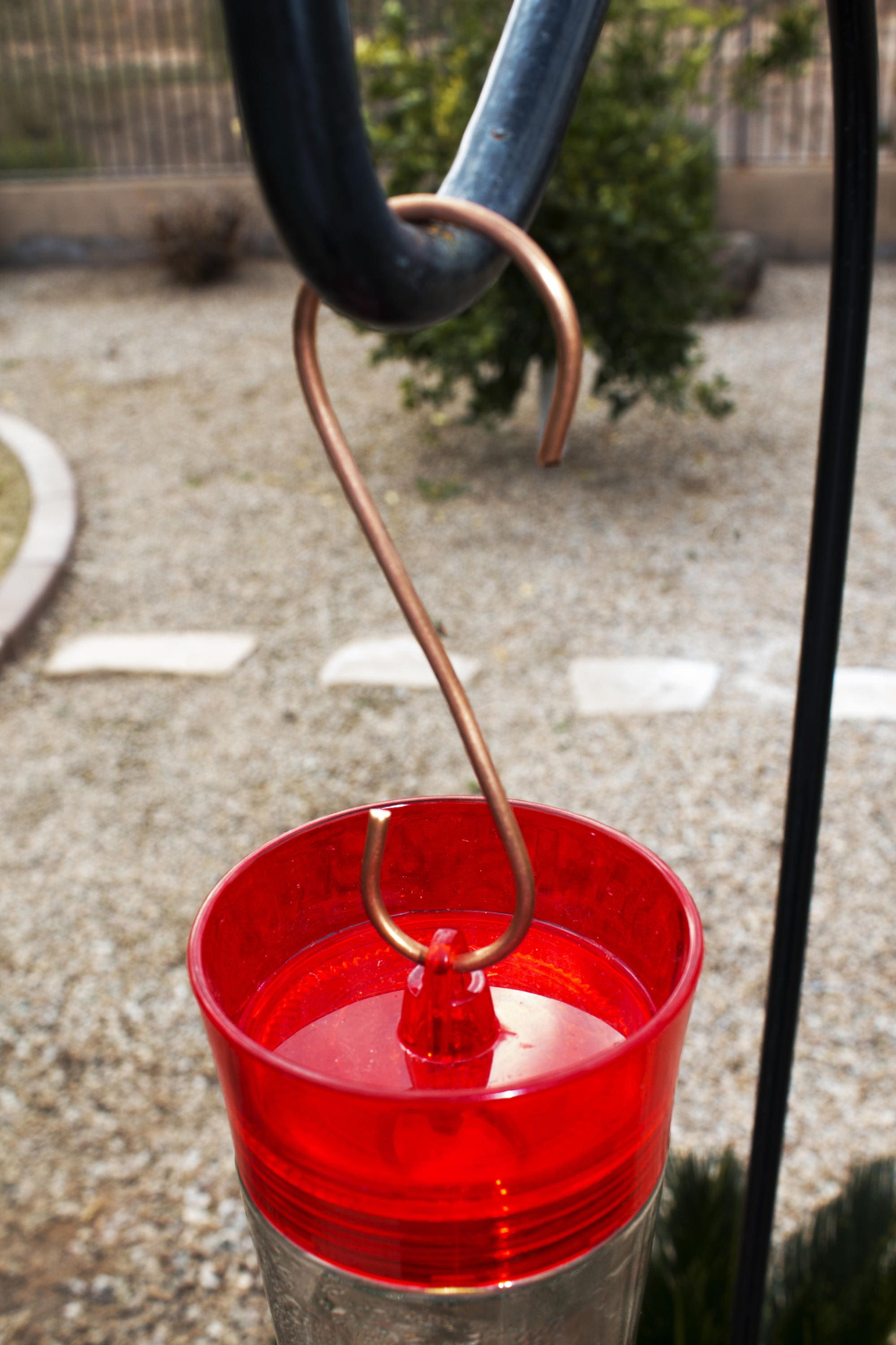 Copper S Hooks for Hanging Hummingbird Feeders Great Gift