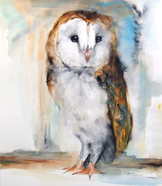 Summer Sale-Barn owl Original watercolor painting 10x11.5in