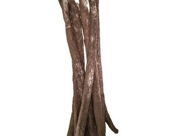 Vanilla Beans Bourbon by Slofoodgroup Vanilla Planifolia Vanilla Bean Products (Various sizes available)