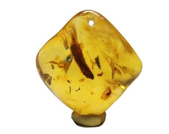 P70 / natural amber pendant