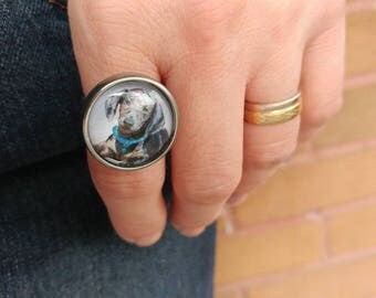 Pewter Ring, Dachshund Ring, Hypoallergenic Ring, Dachshund, Tin Cast in Quebec, Dog, Dachshund Dog, Adjustable Ring