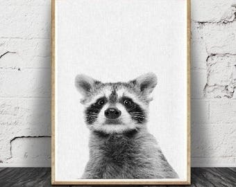 Raton laveur Print, bébé, Animal, animaux de la forêt Wall Art, décor de chambre d’enfant, Baby Shower, téléchargement numérique,