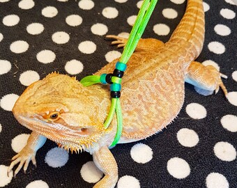 Adjustable Bearded Dragon Harness