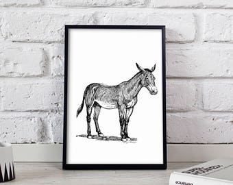 Donkey Print Nursery Animal Wall Art Baby Shower Gift Kids