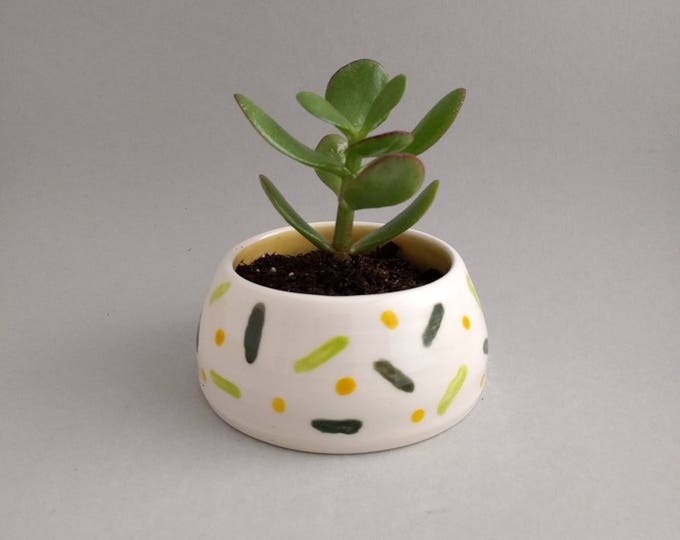 Planter, pottery planter, succulent planter, handmade planter, small plant pot, jewellery dish, pottery plant pot, cactus plant pot, ceramic