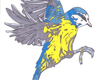 Original Blue Tit Illustration