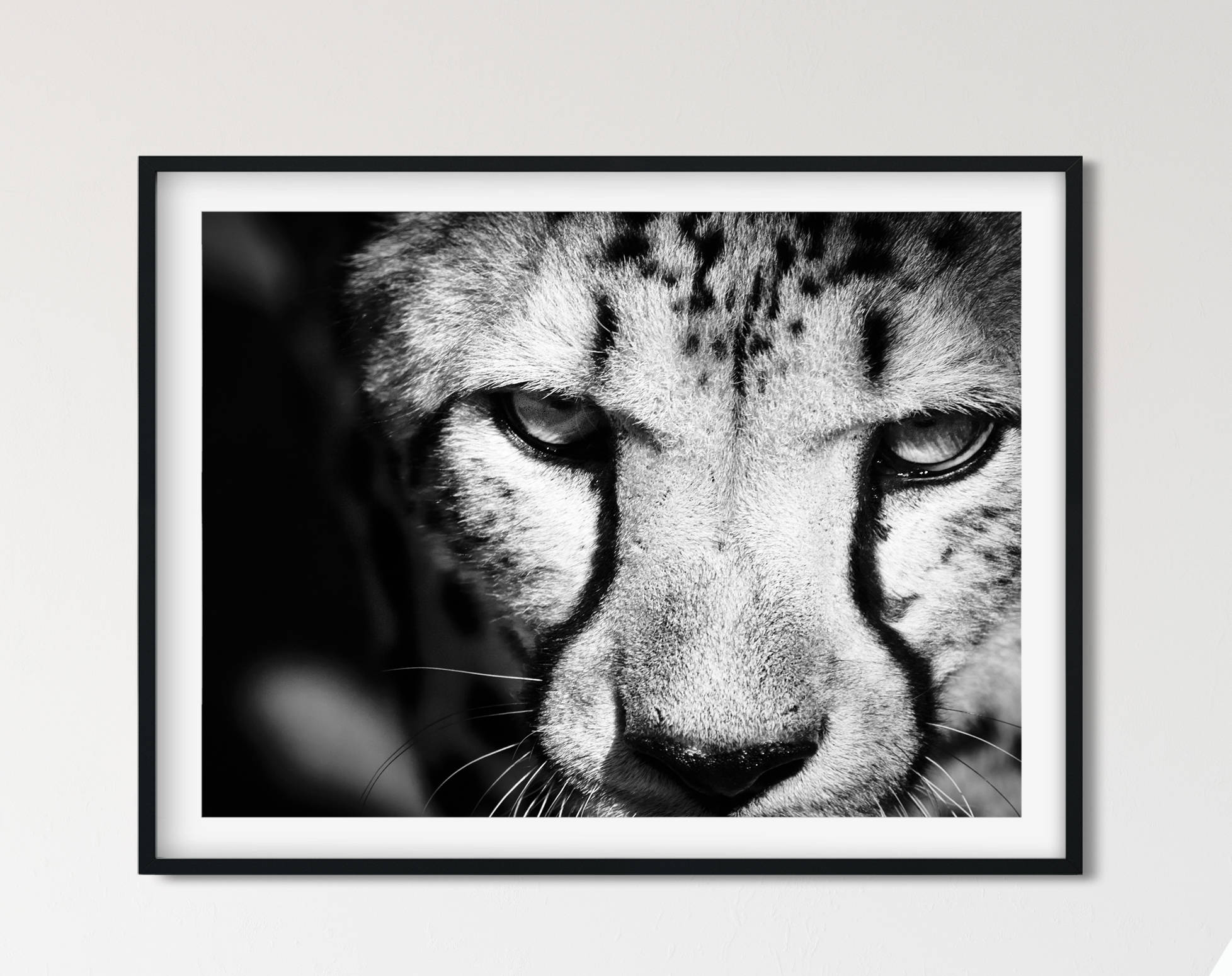 black and white cheetah painting