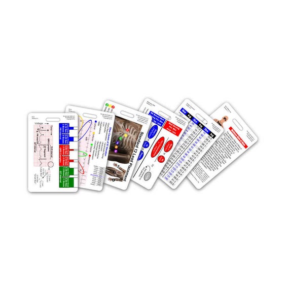 Mini Paramedic Vertical Badge Card Set 6 Cards For ID