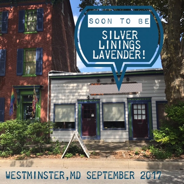 Silver Linings Lavender