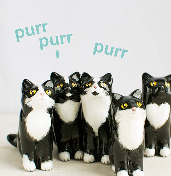 Cat Totem black and white cat animal totem tiny cat