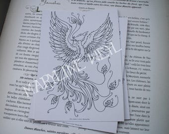 coloring postcard coloring Phoenix Bird